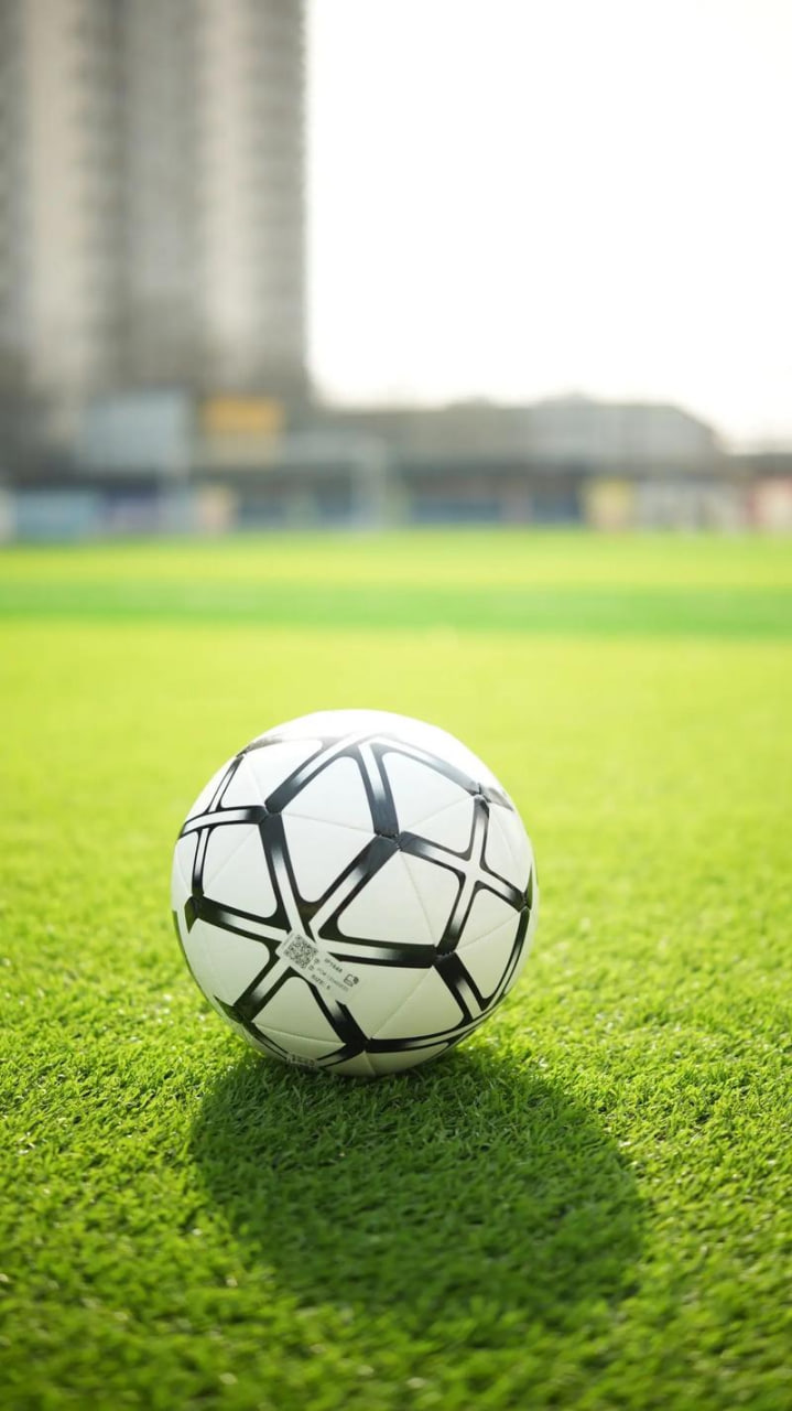 应用下载二维码和界面展示